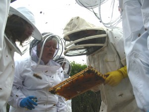new beekeepers at home apiary Courtesy Penny Perry 2010